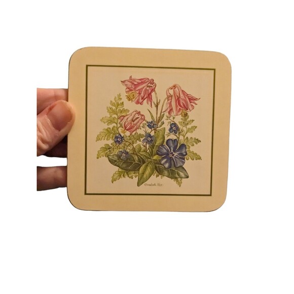 Clover Leaf Melamine Cork Back Botanical Table Mats Boxed Set of 6 - UK VTG MCM - Picture 6 of 16